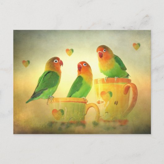 ポストカルテ ポストカード (正面)