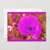 ポストカルテ ポストカード (正面/裏面)