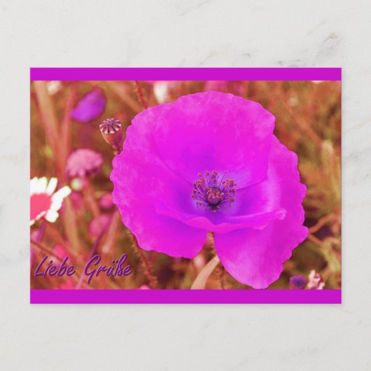 ポストカルテ ポストカード (正面)