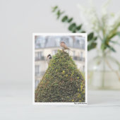 ポストカルテ – ヴォーゲル ポストカード (スタンド正面)