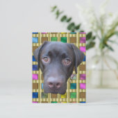 ポストカルトラブラドールジミー ポストカード (スタンド正面)