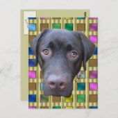 ポストカルトラブラドールジミー ポストカード (正面/裏面)