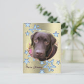 ポストカルトラブラドールジミー ポストカード (スタンド正面)