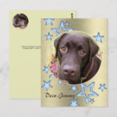 ポストカルトラブラドールジミー ポストカード (正面/裏面)