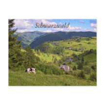 ポストカルト：ヴィーゼン・ウント・イネ・クミット・パノラマアンシヒト