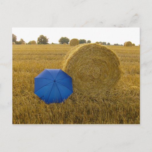 ポストカルト – ein ungleiches Paar ポストカード (正面)