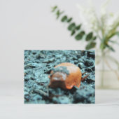 ポストカルト – Nacktschnecke II ポストカード (スタンド正面)