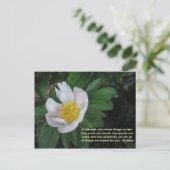 ポストカードが大好き ポストカード (スタンド正面)