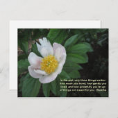 ポストカードが大好き ポストカード (正面/裏面)