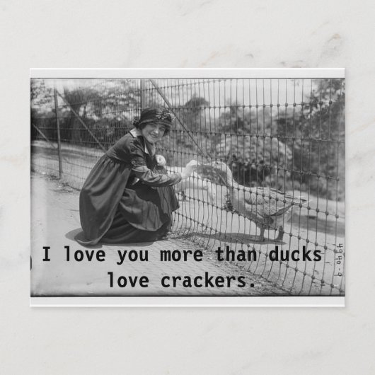 ポストカードが大好き ポストカード (正面)