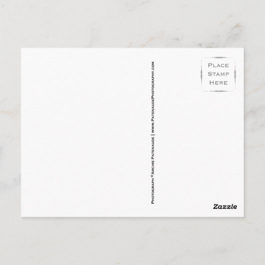 ポストカードでの焚き火 ポストカード (裏面)