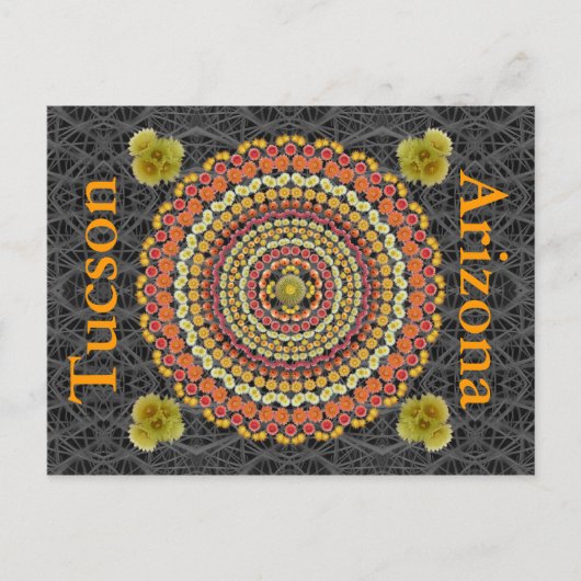 ポストカードとしての樽型サボテン曼荼羅2 ポストカード (正面)