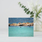 ポストカードにシュノーケリングカリブのする ポストカード (スタンド正面)