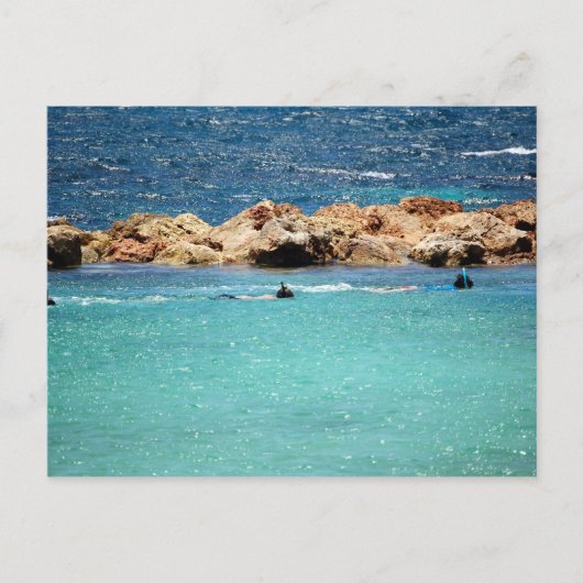 ポストカードにシュノーケリングカリブのする ポストカード (正面)
