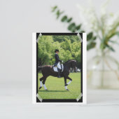 ポストカードにドレスセージ馬ショーのライダー ポストカード (スタンド正面)