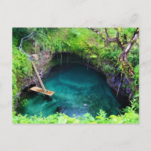 ポストカードにパラダイス ポストカード (正面)