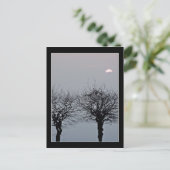 ポストカードに移動しない ポストカード (スタンド正面)