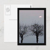 ポストカードに移動しない ポストカード (正面/裏面)