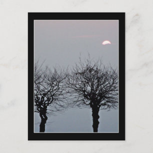 ポストカードに移動しない ポストカード