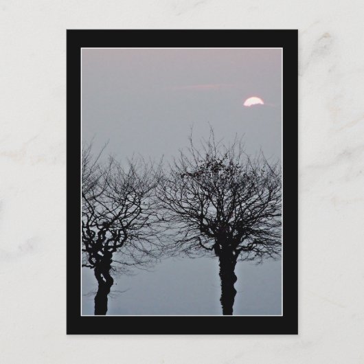 ポストカードに移動しない ポストカード (正面)