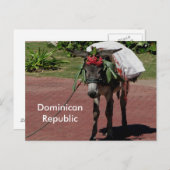 ポストカードに載ったドミニカ共和国のロバ ポストカード (正面/裏面)