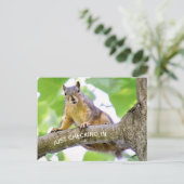 ポストカードのチェックイン時間 ポストカード (スタンド正面)