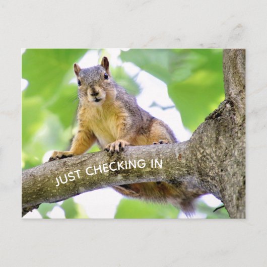 ポストカードのチェックイン時間 ポストカード (正面)