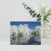 ポストカードのテスト ポストカード (スタンド正面)