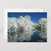 ポストカードのテスト ポストカード (正面/裏面)