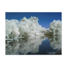 ポストカードのテスト