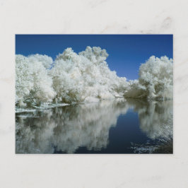 ポストカードのテスト ポストカード