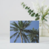 ポストカードのヤシの木 ポストカード (スタンド正面)