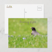 ポストカードの考え ポストカード (正面/裏面)