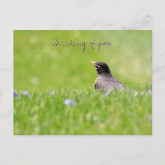 ポストカードの考え ポストカード (正面)