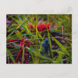 ポストカードの表示 ポストカード