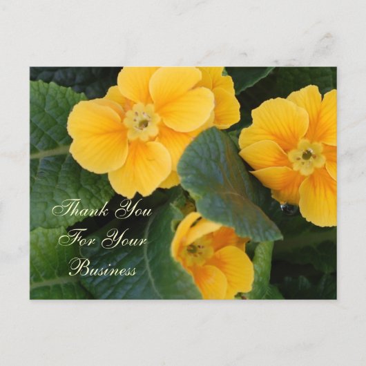 ポストカードをありがとう ポストカード (正面)