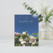 ポストカードを作感動的成する ポストカード (スタンド正面)