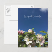 ポストカードを作感動的成する ポストカード (正面/裏面)