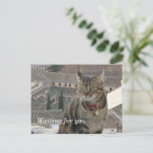 ポストカードを待っている ポストカード (スタンド正面)