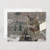 ポストカードを待っている ポストカード (正面/裏面)