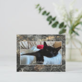 ポストカードを黒でチェックイン シーズンポストカード (スタンド正面)