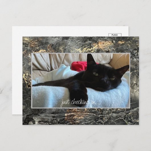 ポストカードを黒でチェックイン シーズンポストカード (正面/裏面)