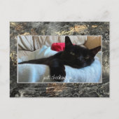 ポストカードを黒でチェックイン シーズンポストカード (正面)