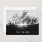 ポストカードアート及びデザイン ポストカード (正面/裏面)