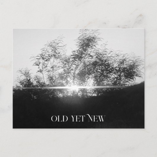 ポストカードアート及びデザイン ポストカード (正面)