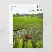 ポストカードウブドバリインドネシア田 ポストカード (正面/裏面)