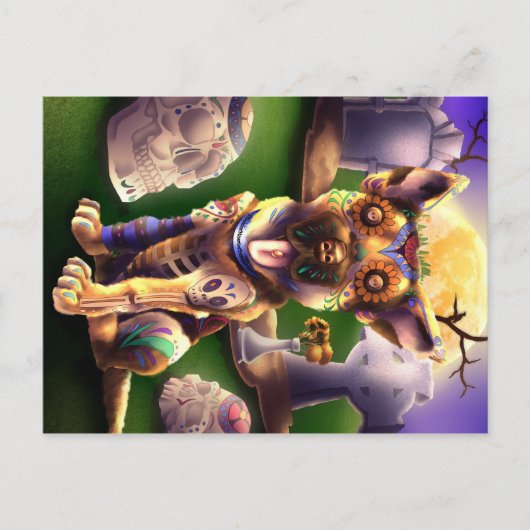 ポストカードウルフ集団ザポップドイツシェパード ポストカード (正面)