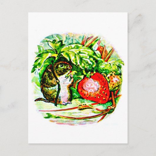 ポストカードキッズアートビアトリックスポッター13 ポストカード (正面)