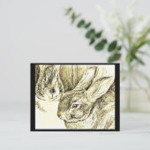 ポストカードキッズアートビアトリックスポッター25 ポストカード (スタンド正面)