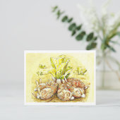 ポストカードキッズアートビアトリックスポッター30 ポストカード (スタンド正面)